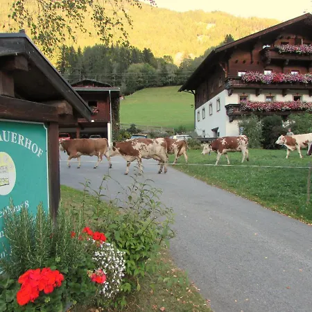 Apartamento Hinterauerhof Matrei in Osttirol