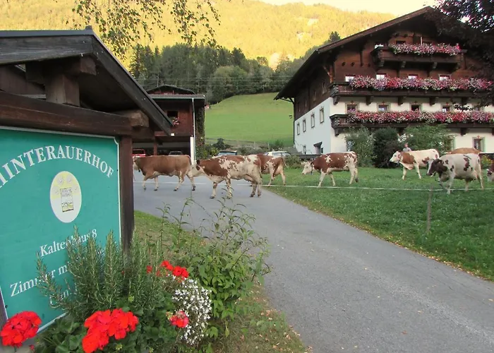 アパート Hinterauerhof マトライ・イン・オストティロル